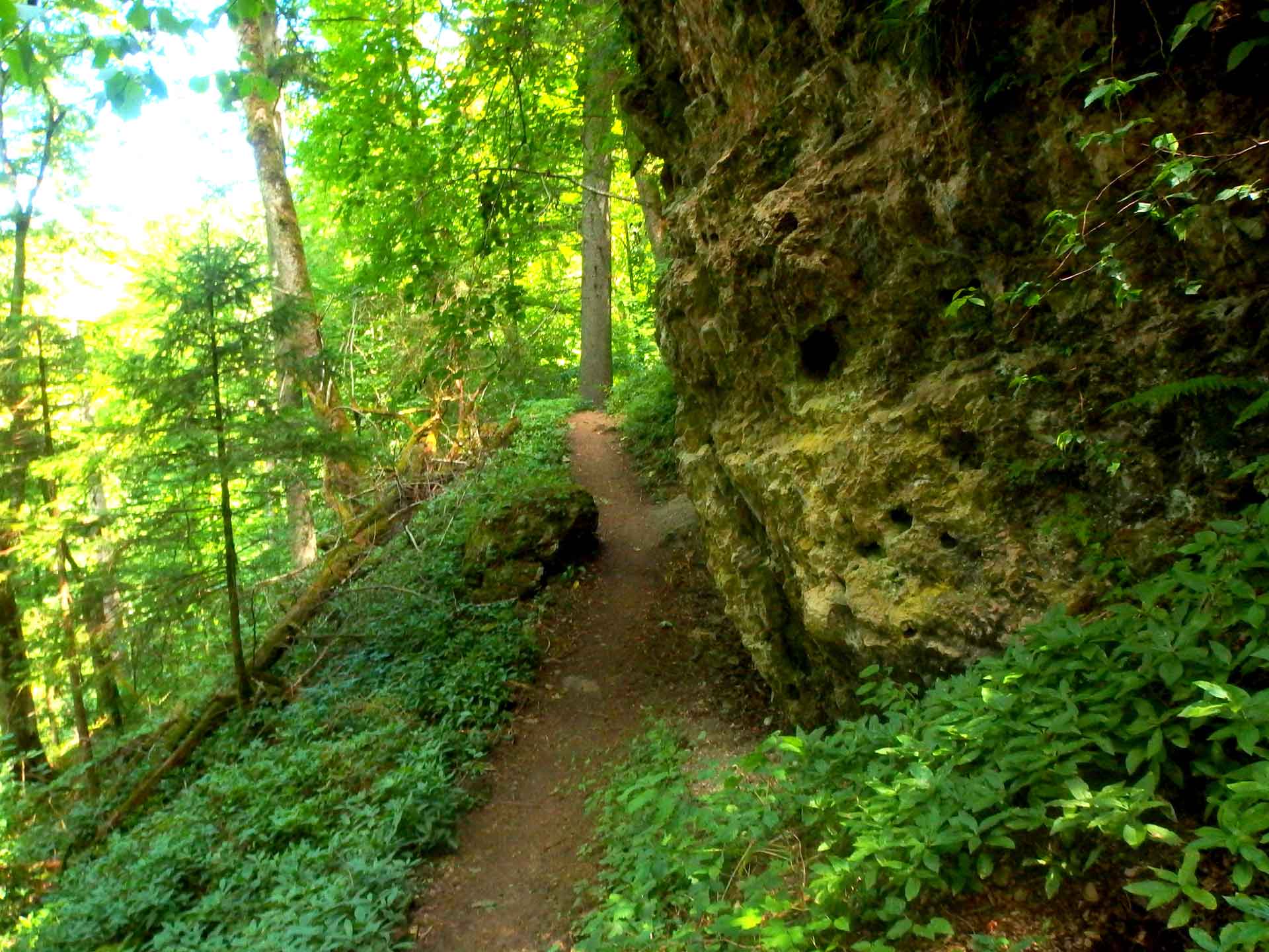 1 Etappe stühlingen nach Blumberg