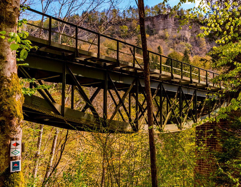 1Etappe Schluchtensteig