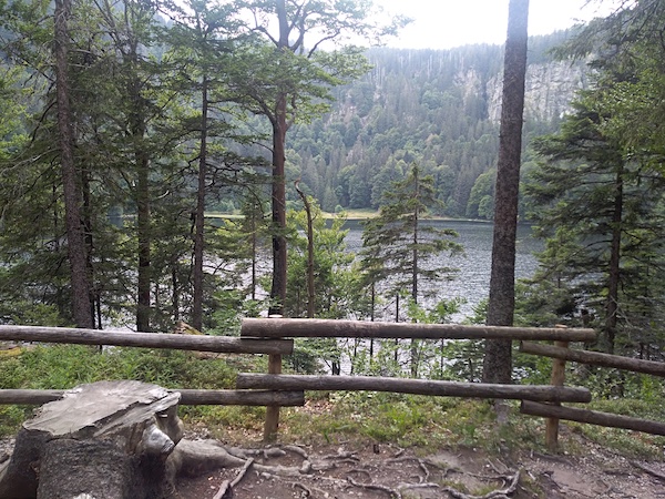 a bild für web site(1)