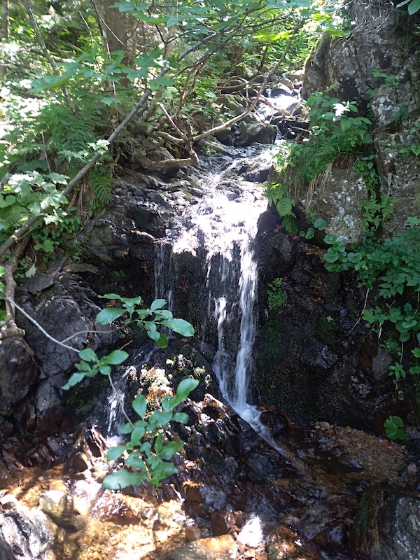 a bild für web site(2)