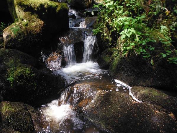 a3 Tag von der Schattenmühle nach Lenzkirch