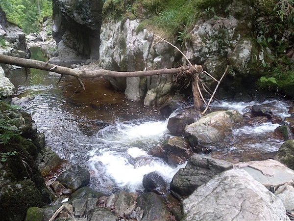 a3 Tag von der Schattenmühle nach Lenzkirch (1)