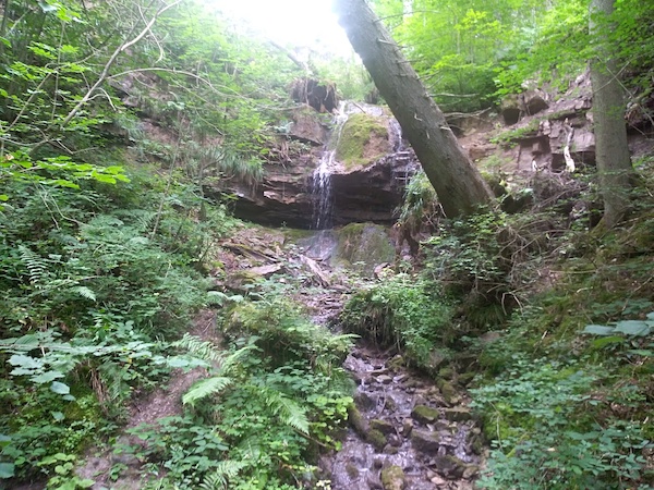 a3 Tag von der Schattenmühle nach Lenzkirch (2)