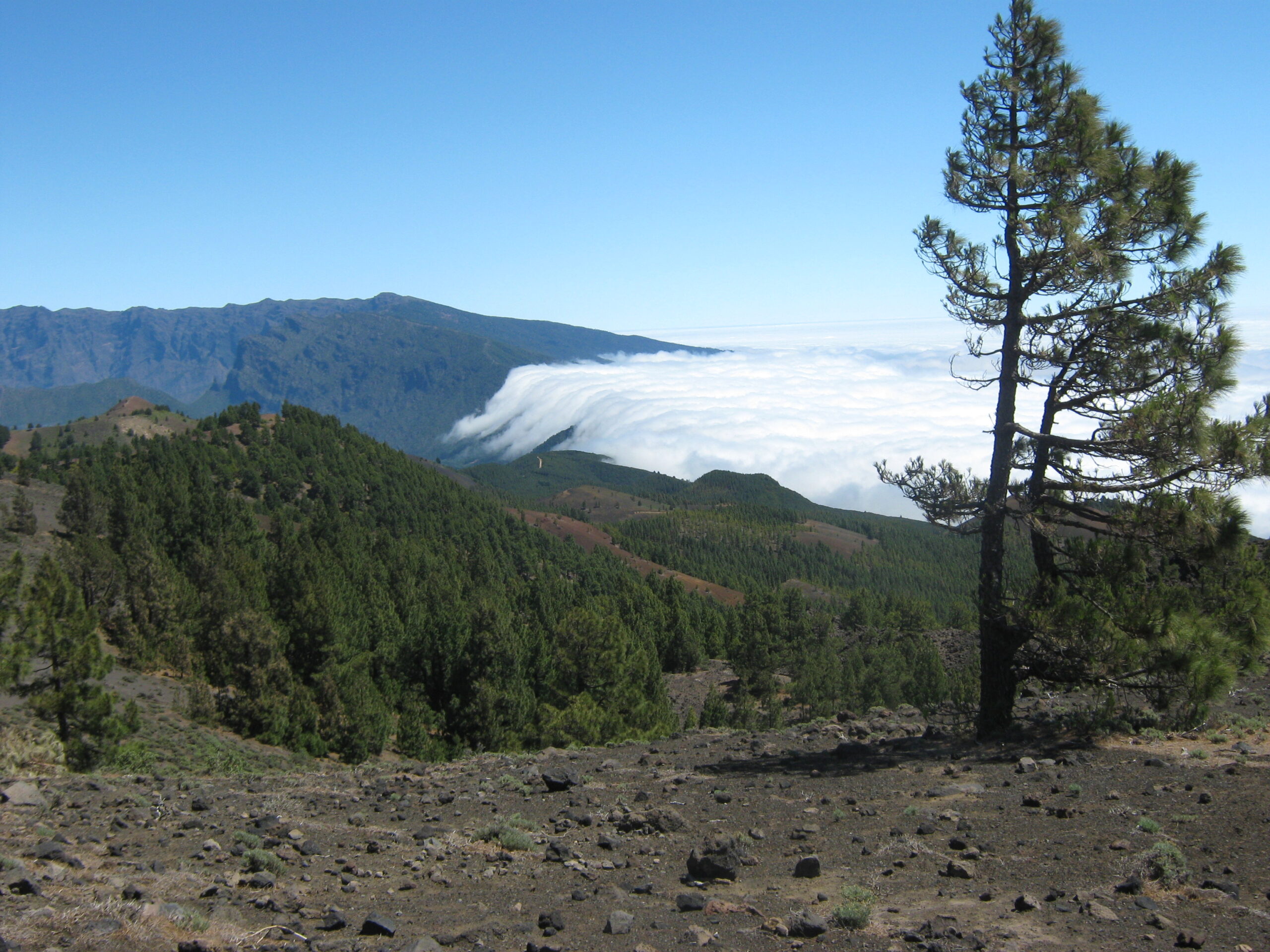 Wolkenwasserfall von oben